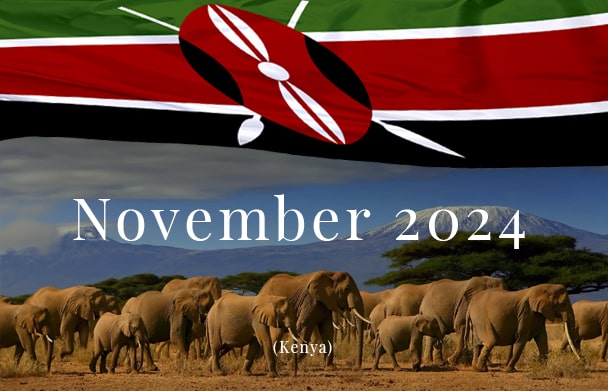 Novembre 2024 | The Land of Safari